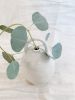 Daan Vase with Handle | Vases & Vessels by Mary Lee. Item composed of ceramic