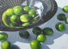 'Life of a Lime' Original Oil Painting (SOLD) | Oil And Acrylic Painting in Paintings by Jenny Stewart's Fine Art. Item composed of canvas in contemporary or modern style