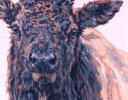 Odin | Oil And Acrylic Painting in Paintings by Patricia A Griffin. Item made of linen with synthetic