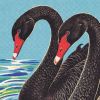 Black Swans | Prints in Paintings by Paul Manwaring Fine Art Prints. Item composed of paper in traditional style