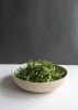 Stoneware Salad Bowl | Serveware by Creating Comfort Lab