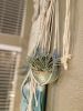 The Peaceful Jelly Fish | Macrame Wall Hanging in Wall Hangings by Gissell Studio - Fiber & Botanical Art. Item composed of cotton & fiber