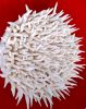 "The desire to be in control #4" small round wall sculpture | Wall Hangings by Natasha Kanevski. Item made of canvas compatible with minimalism and contemporary style