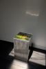 Bryophyte Pedestal Table | End Table in Tables by Studio S II. Item composed of steel & glass compatible with contemporary and industrial style