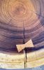 Deep Dish Round Table | Coffee Table in Tables by Bent Studio | San Antonio Winery in Los Angeles