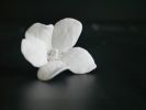 River of Life – Flower Wall Installation | Wall Sculpture in Wall Hangings by Leramic. Item in contemporary style