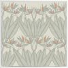 Strelitzia - Framed Canvas Art | Prints by Patricia Braune. Item made of canvas