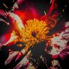 Fire Flower No. 1 | Prints by Anna Jaap Studio. Item made of paper