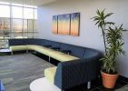 Delta Dental - Art Consulting, Installation | Interior Design by Art Solutions | Delta Dental of New Jersey, Inc. in Parsippany-Troy Hills