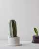 Self-draining Planter | Vases & Vessels by Stone + Sparrow