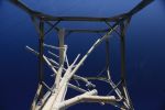 TREESURE HOUSE | Public Sculptures by Kuenlin Tsai