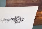Big Fish Bones of the Andaman Sea | Drawings by Chrysa Koukoura. Item composed of paper