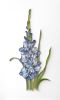 Large-scale Floral on-edge paper art | Wall Sculpture in Wall Hangings by JUDiTH+ROLFE. Item composed of paper in contemporary or modern style