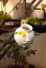 Filomena Pitcher | Vessels & Containers by Patrizia Italiano. Item made of ceramic