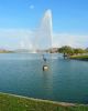 Big Blue | Public Sculptures by Don Kenworthy | Fountain Lake in Fountain Hills. Item made of brass
