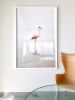 For Now Flamingo | Photography by Alice Zilberberg