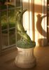 Duckbill Platypus | Sculptures by Anthony Smith Sculpture. Item composed of bronze