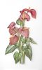 Large-scale Floral on-edge paper art | Wall Sculpture in Wall Hangings by JUDiTH+ROLFE. Item composed of paper in contemporary or modern style