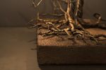 Roots Small | Table Lamp in Lamps by F+M FOS - Anna Maria Fragiskos Bitros. Item composed of copper in modern style