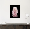 Bliss | Prints in Paintings by Bodnari Studio. Item made of paper compatible with minimalism and contemporary style
