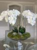 Grand Silk Orchid arrangement | Floral Arrangements by Fleurina Designs