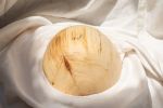Cleft Aspen Wood Decorative Hollow Form | Ornament in Decorative Objects by Andrew J Studios. Item composed of wood in minimalism or mid century modern style