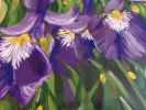 Away in the Iris Field | Oil And Acrylic Painting in Paintings by Judy Century Art. Item composed of synthetic