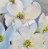 Dogwood Tree Blossoms Portrait | Oil And Acrylic Painting in Paintings by Catherine Twomey. Item composed of canvas and synthetic