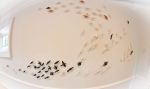 Murmurations 3, installation of clay birds | Wall Sculpture in Wall Hangings by Susan Hostetler Studio | Athenaeum in Alexandria. Item composed of ceramic