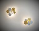 Limpets | Sconces by F+M FOS - Anna Maria Fragiskos Bitros. Item made of metal