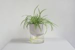 Kapi small pebble | Planter in Vases & Vessels by Krafla | Krafla Studio in Kraków. Item made of ceramic with glass works with minimalism & contemporary style