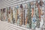 Botanical Structures IV | Wall Sculpture in Wall Hangings by Kay Aplin. Item made of ceramic