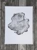 Alaska Cypress Tree | Prints by Erik Linton | Four Seasons Hotel San Francisco in San Francisco. Item made of paper