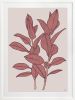 Rubbery Leaf - 1 & 2 - Red - Framed Art | Prints by Patricia Braune. Item composed of paper