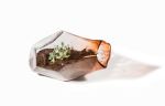 Geo Terrarium | Planter in Vases & Vessels by Esque Studio. Item made of glass