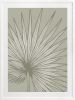Nobilis Palm - 1 & 2 & 3 - Grey Green - Framed Art | Prints by Patricia Braune. Item composed of paper