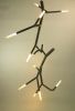 newGROWTH2 LED Linked Branch chandelier System | Pendants by CP Lighting. Item composed of aluminum in contemporary or eclectic & maximalism style