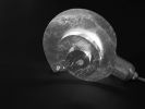 "Life Spiral" | Table Lamp in Lamps by F+M FOS - Anna Maria Fragiskos Bitros. Item composed of glass