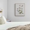 Hellebore No. 34 . Original Watercolor Painting | Paintings by Elizabeth Becker. Item made of paper compatible with minimalism and contemporary style