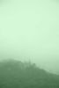 Green Song | Photography by Renee Torres. Item made of paper works with contemporary style