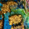 Viewer Interactive Painted Sequin Circle | Oil And Acrylic Painting in Paintings by Leisa Rich | Buckhead in Atlanta. Item made of canvas