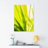 Sunkissed_3613  --  the life-giving energy of nature | Prints in Paintings by Petra Trimmel. Item composed of canvas and paper