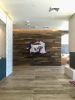 Collage On Layers | Art & Wall Decor by Felicity Fenton | Modera Belmont in Portland