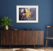 Daffodil Surprise Framed Print | Prints by Judy Century Art. Item composed of paper