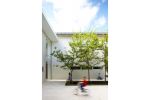 Architecture | Architecture by Klopper and Davis Architects. Item made of synthetic