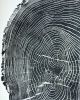 Tree Ring Print of Ash, 24x36 inches | Prints by Erik Linton. Item made of paper