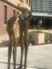 Caring Enough to Look | Public Sculptures by Lorri Acott | Front Range Community College - Larimer Campus in Fort Collins. Item made of bronze