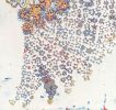 Web of Community- sold | Oil And Acrylic Painting in Paintings by L Rowland Contemporary Art. Item made of wood & synthetic