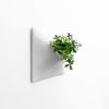 Node XL Wall Planter, 15" Mid Century Modern Planter, Gray | Plant Hanger in Plants & Landscape by Pandemic Design Studio. Item composed of stoneware in mid century modern or japandi style