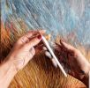 Storm Breaks over the Rye Paddock | Oil And Acrylic Painting in Paintings by Jacinta Payne